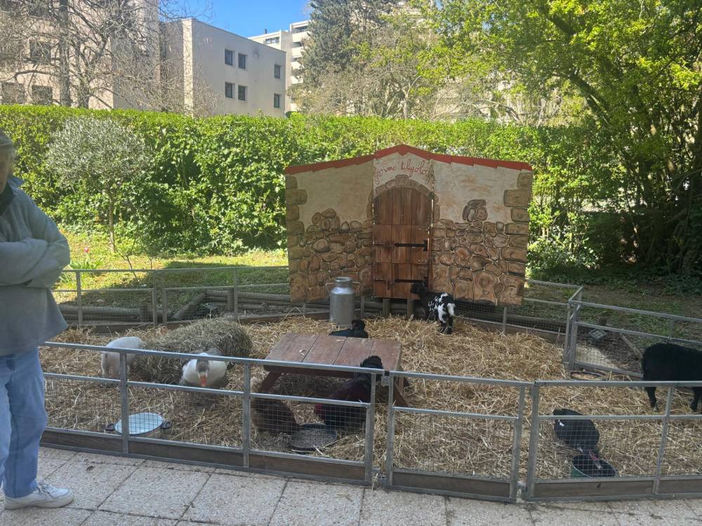 PAUL GAUGUIN - Photos (1)