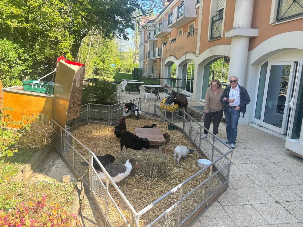 PAUL GAUGUIN - Photos (6)