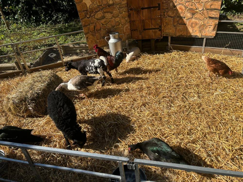 PHOTO-2025-04-10-10-20-57