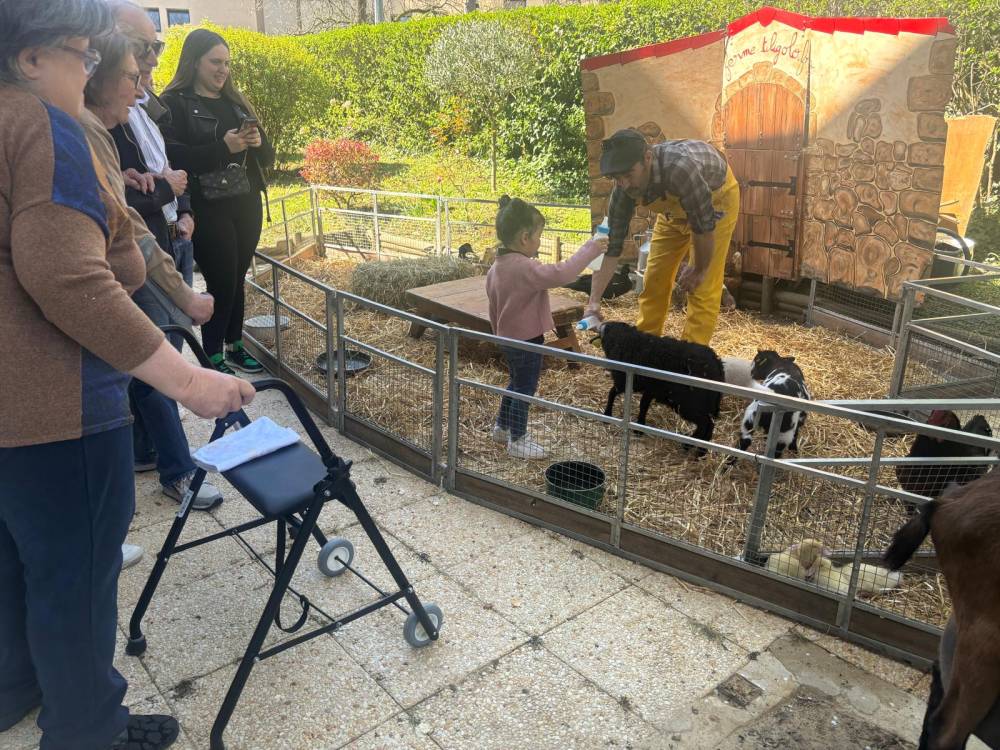 PHOTO-2025-04-10-10-20-57 (3)