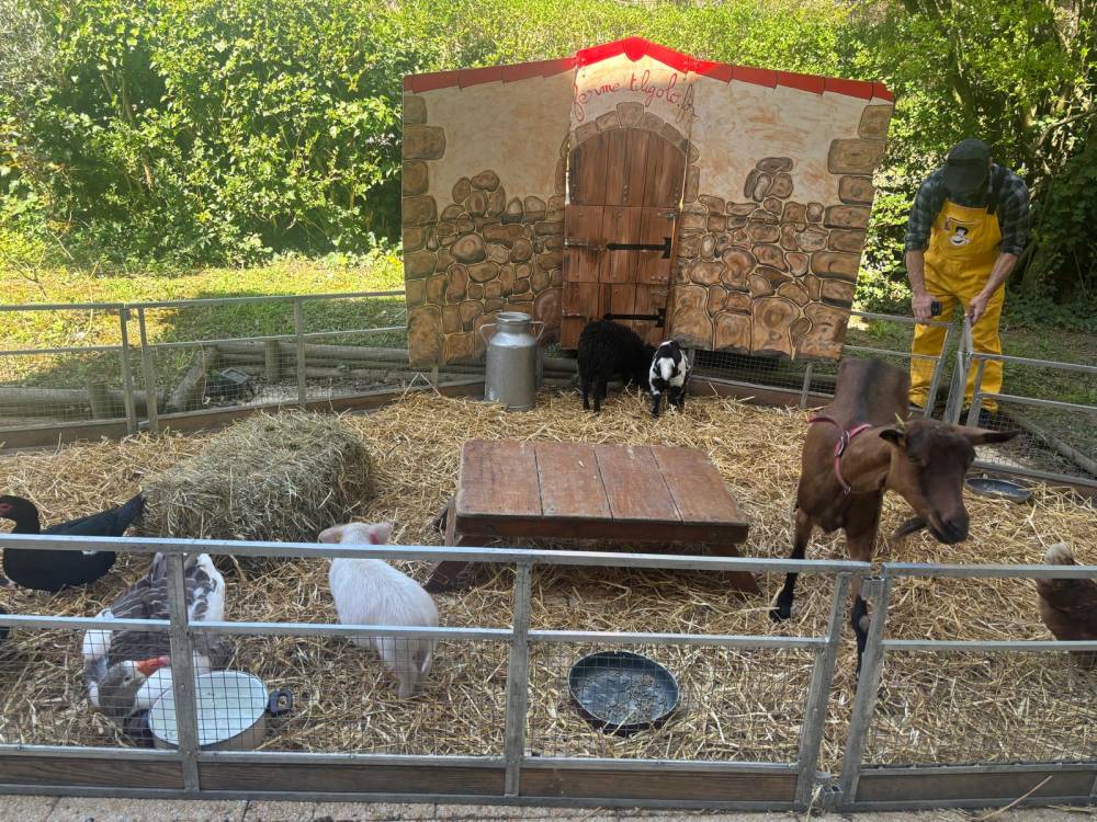 PHOTO-2025-04-10-10-20-57 (2)