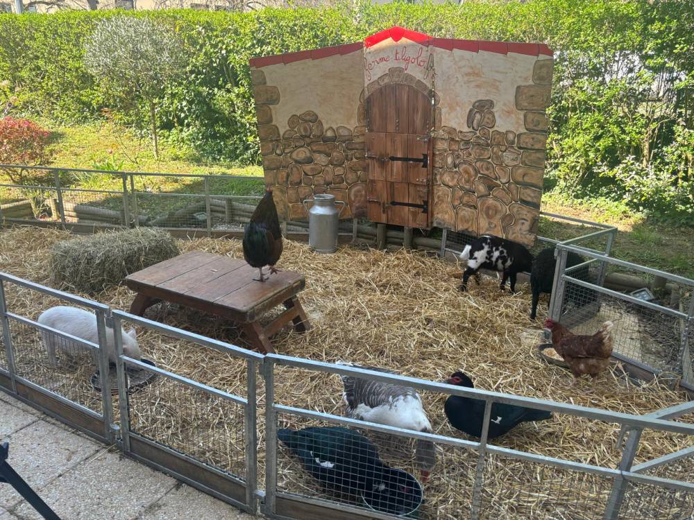 PHOTO-2025-04-10-10-20-56