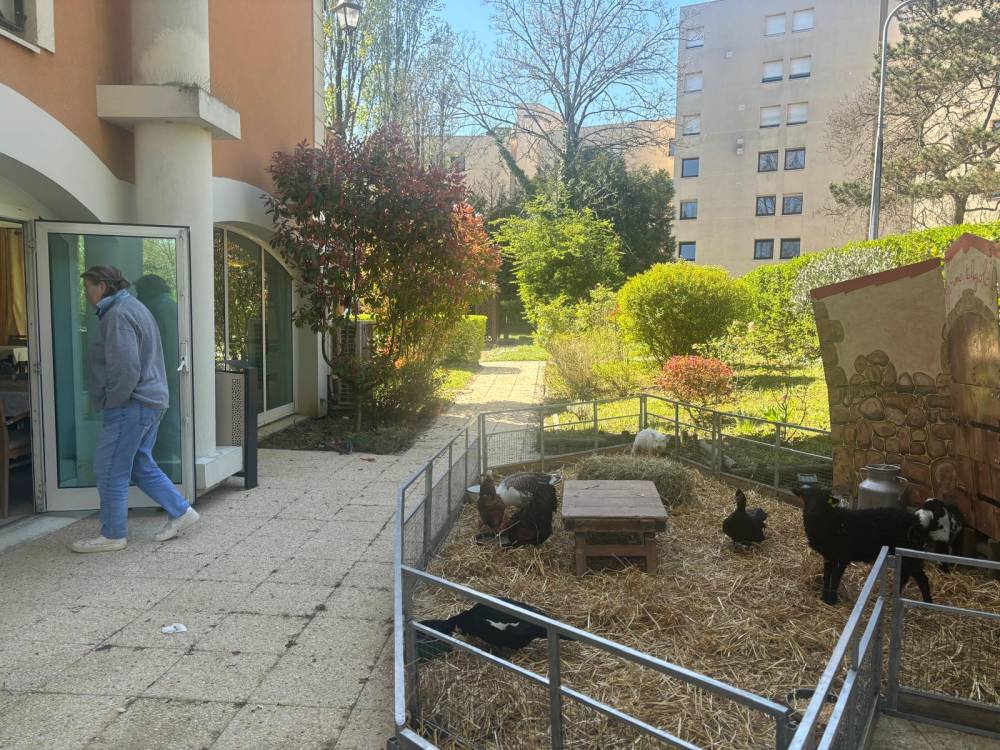 PHOTO-2025-04-10-10-20-56 (3)